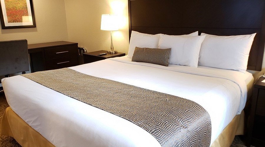 Guest Suite at Chase Suite Hotel Newark Fremont