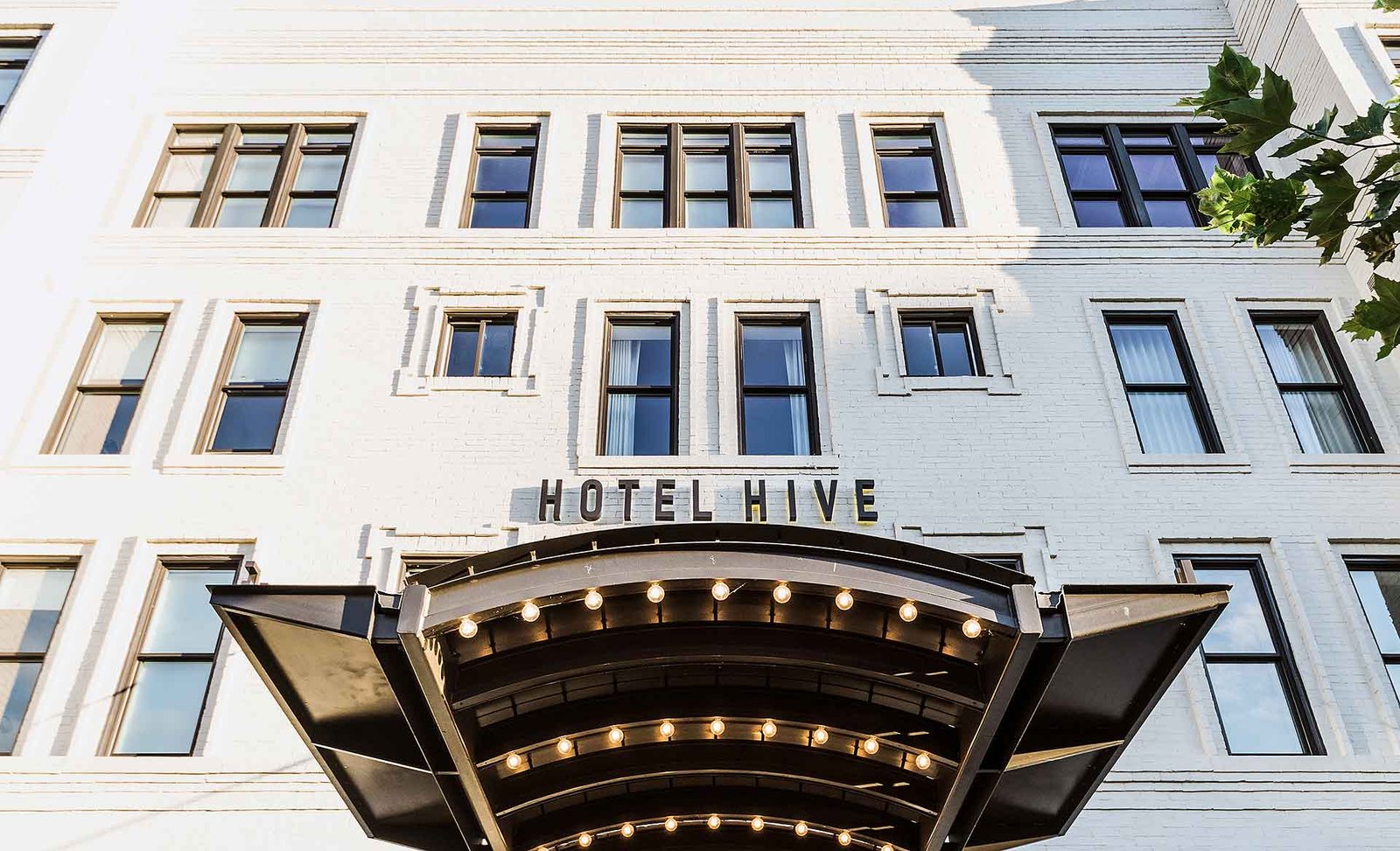 The Hive Hotel